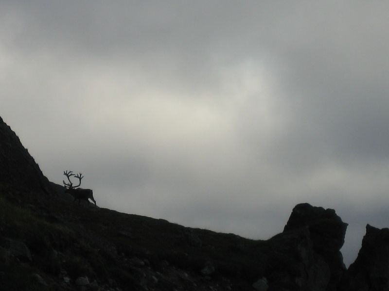 2008-07-25_kanasut_065