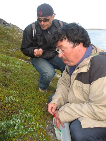 2008-07-31_moskusjagt_alu_soeren_003