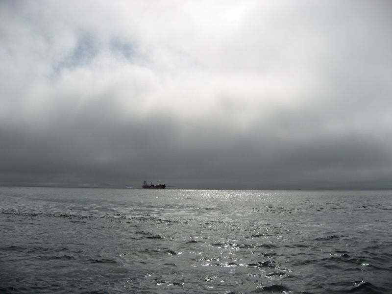 2008-07-31_moskusjagt_alu_soeren_006