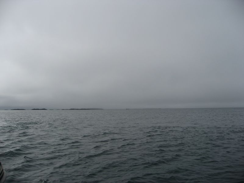 2008-07-31_moskusjagt_alu_soeren_008