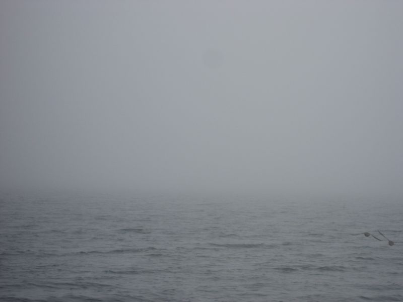 2008-07-31_moskusjagt_alu_soeren_010