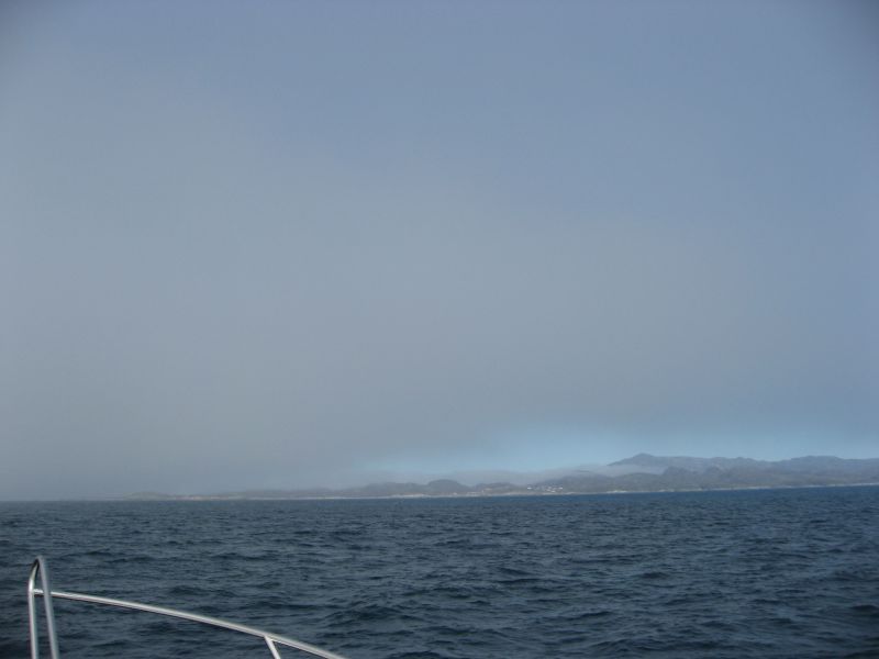 2008-07-31_moskusjagt_alu_soeren_011