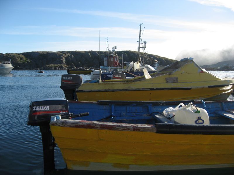 2008-07-31_moskusjagt_alu_soeren_020