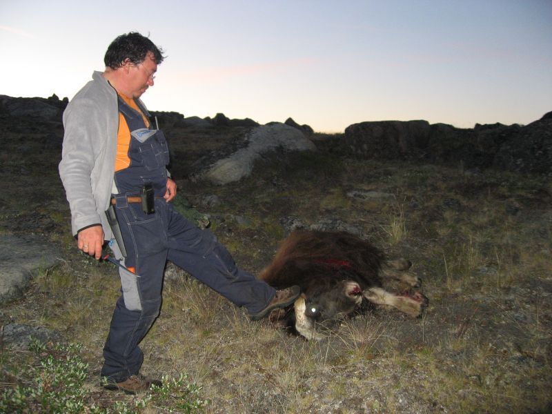 2008-07-31_moskusjagt_alu_soeren_058