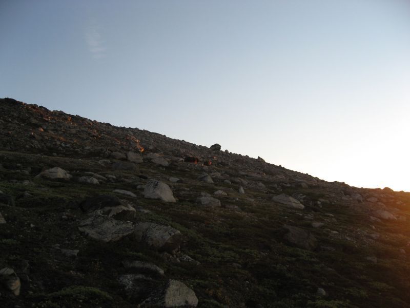 2008-07-31_moskusjagt_alu_soeren_068