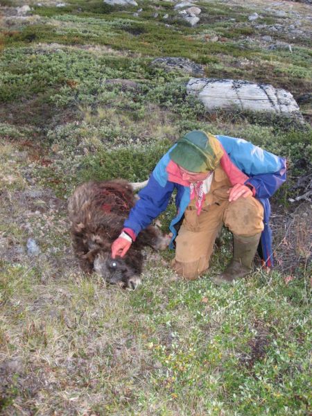 2008-07-31_moskusjagt_alu_soeren_074