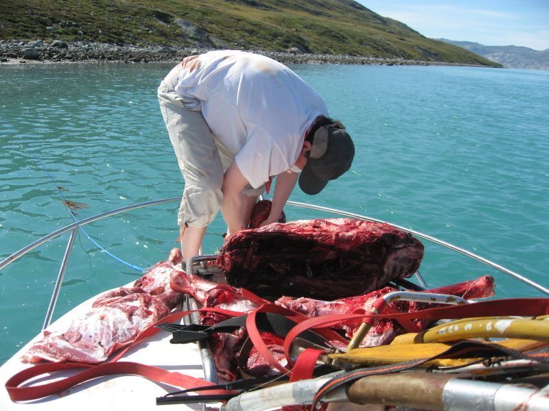 2008-07-31_moskusjagt_alu_soeren_092