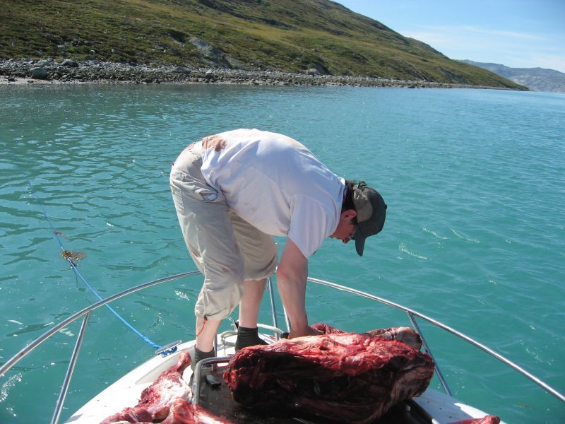 2008-07-31_moskusjagt_alu_soeren_093