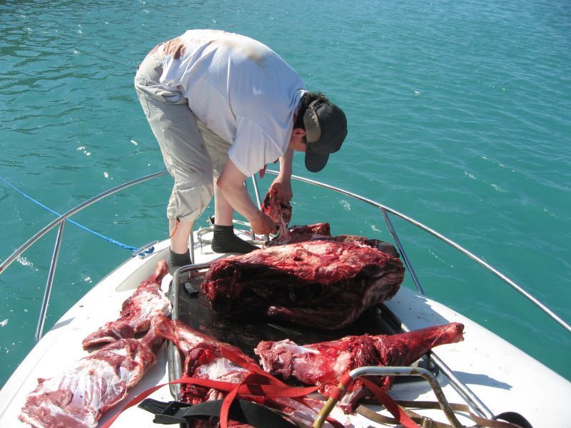 2008-07-31_moskusjagt_alu_soeren_094