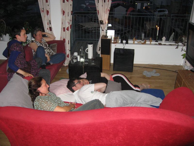 2008-07-19_hygge_mette_ivalo_jesper_maritha_soeren_karin_003