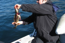 2008-07-02_sejltur_001