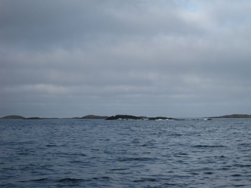 2008-08-15_thomses_natsilik_jesper_thomas_soeren_080