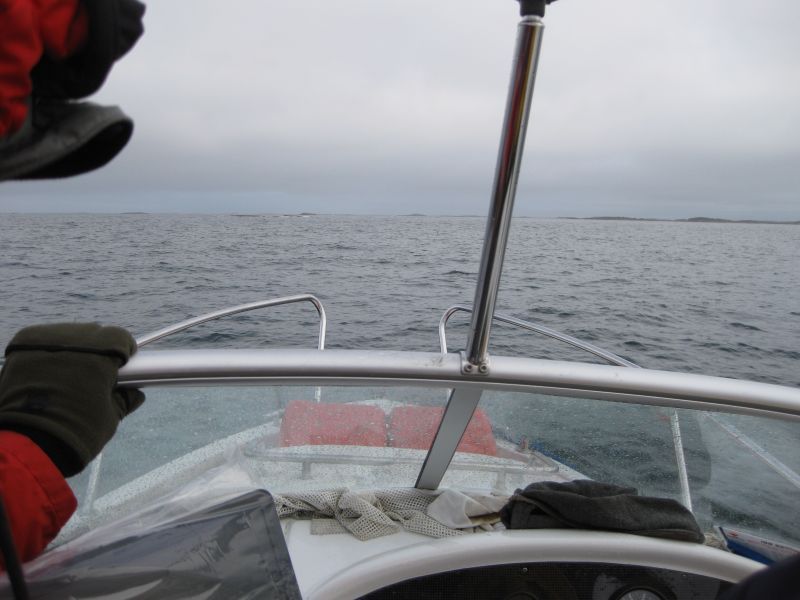 2008-08-15_thomses_natsilik_jesper_thomas_soeren_111