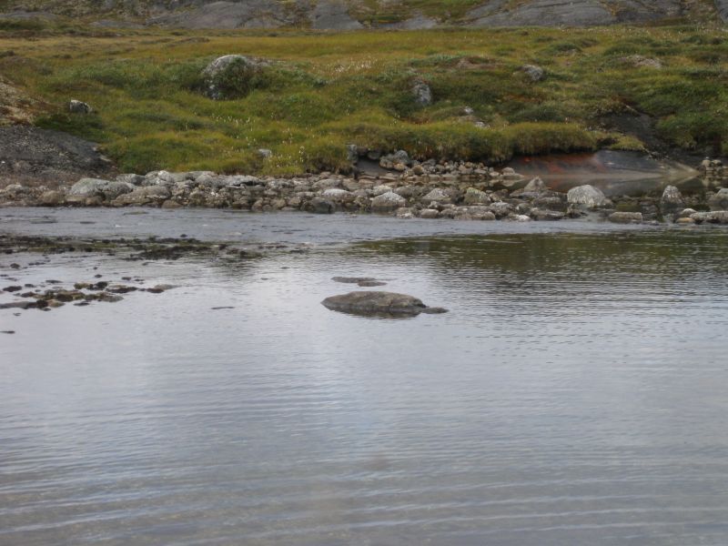 2008-08-15_thomses_natsilik_jesper_thomas_soeren_197