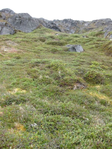 2008-08-15_thomses_natsilik_jesper_thomas_soeren_214