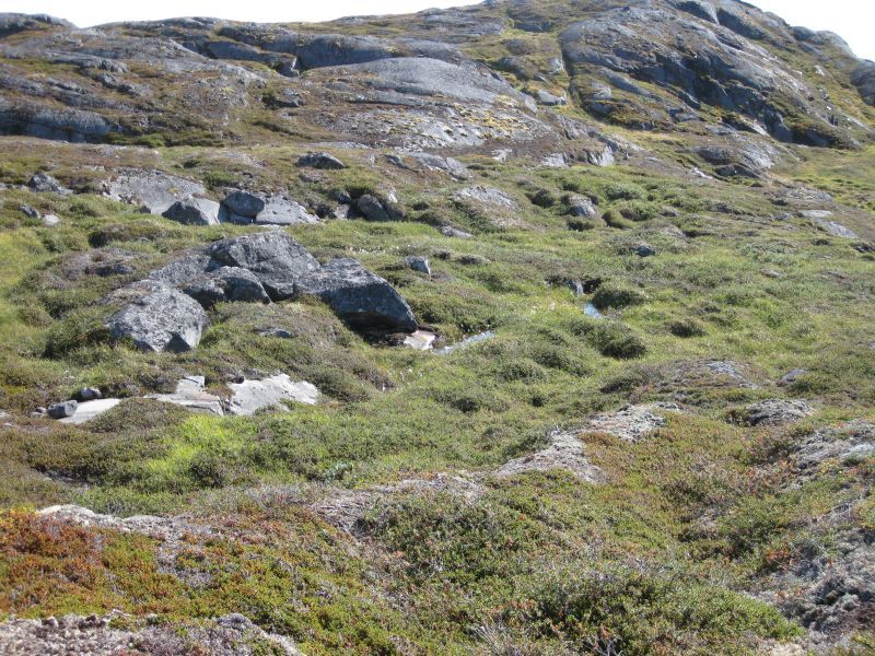 2008-08-15_thomses_natsilik_jesper_thomas_soeren_243