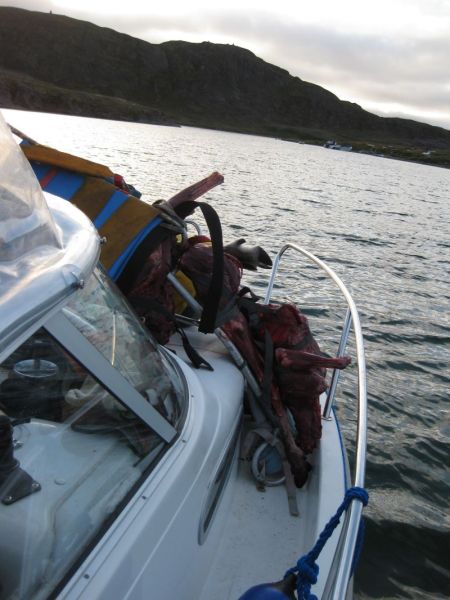 2008-08-15_thomses_natsilik_jesper_thomas_soeren_248
