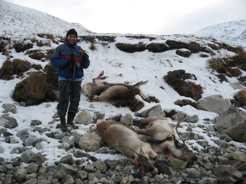 2008-10-26_resndyrjagt_jesper_soeren_001