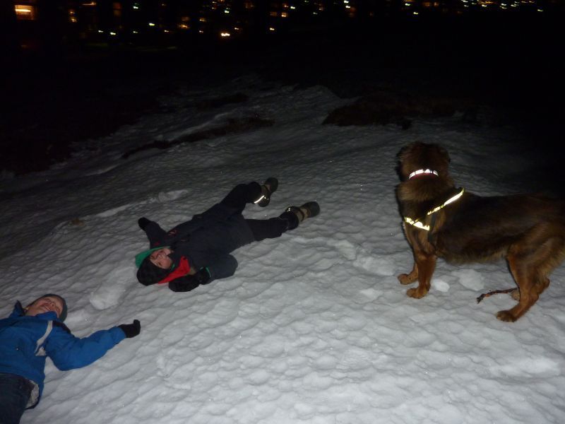 2011-01-14-2110_djanco_rumle_labansen_sean