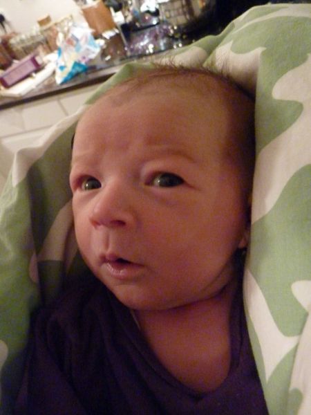 2011-01-17-1733_ukaleq_eugenius_labansen_2