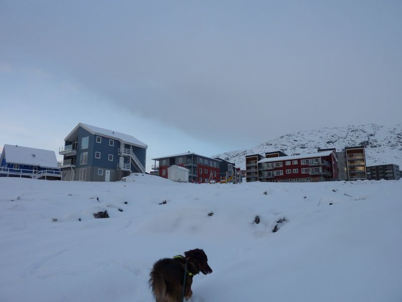 2011-01-19-1327_djanco_pupik