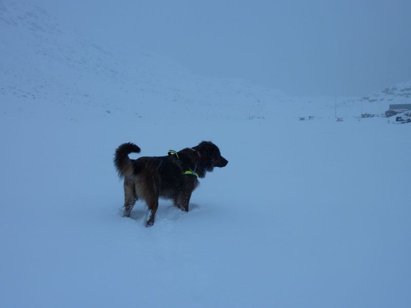 2011-01-26-1327_djanco