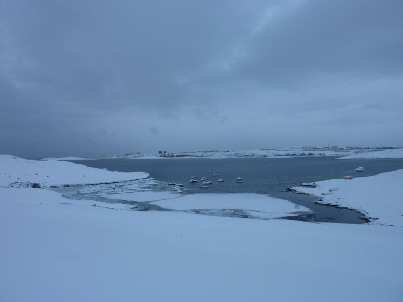 2011-02-09-1153_