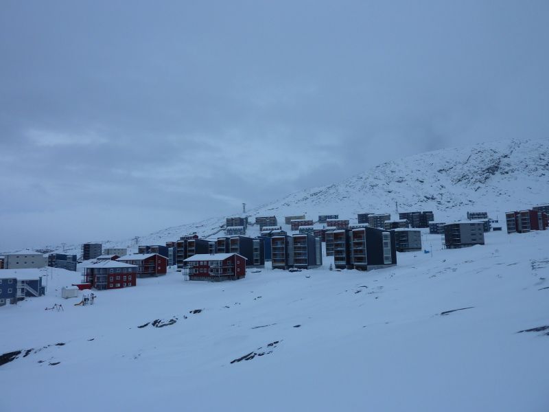2011-02-09-1153_pupik