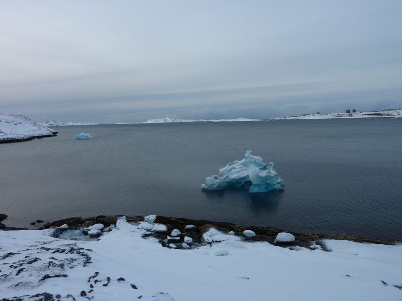 2011-02-14-1132_