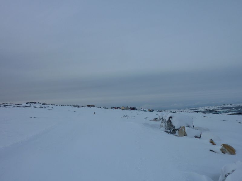2011-02-14-1221_