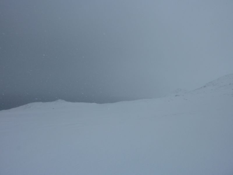 2011-02-15-1347_