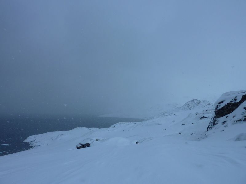 2011-02-15-1354_