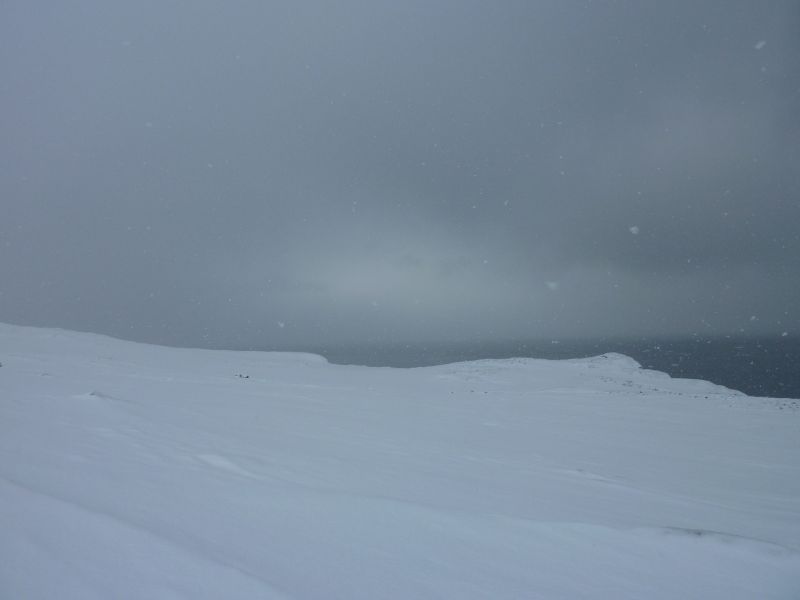 2011-02-15-1354_-_2