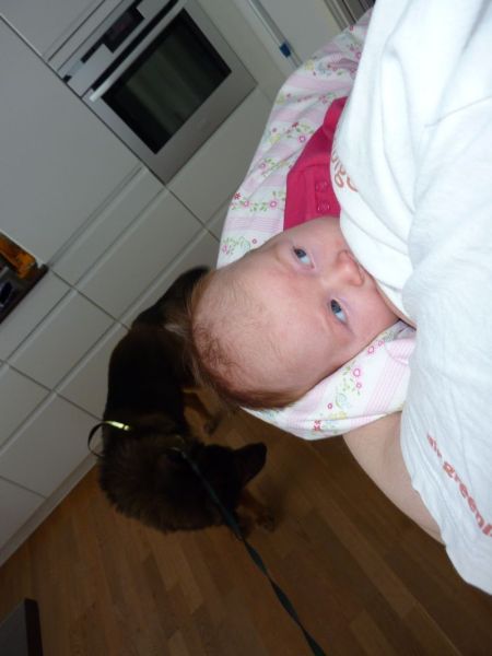 2011-02-16-1135_djanco_ukaleq_eugenius_labansen