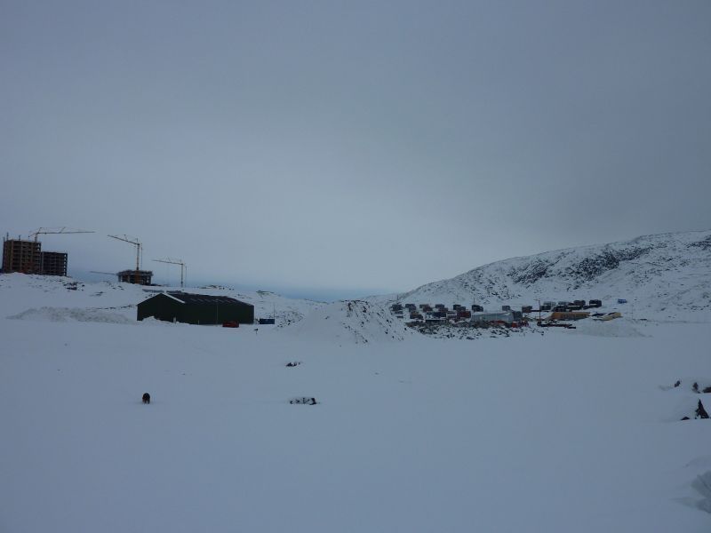 2011-02-18-1117_djanco