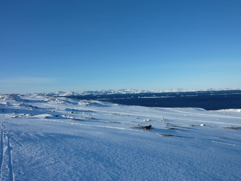 2011-02-20-1427_djanco