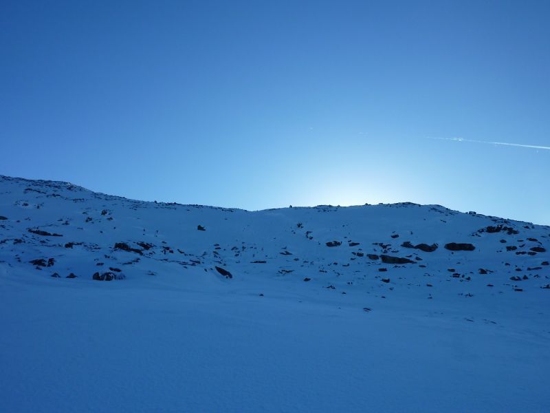2011-02-20-1444_