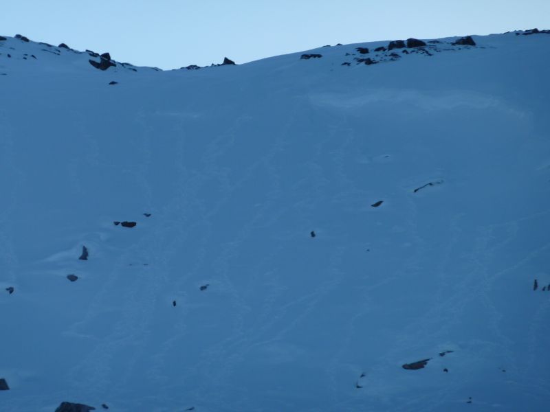 2011-02-20-1444_-_3