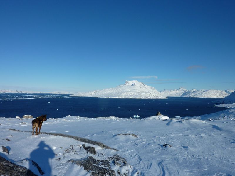 2011-02-23-1318_djanco_sermitsiaq