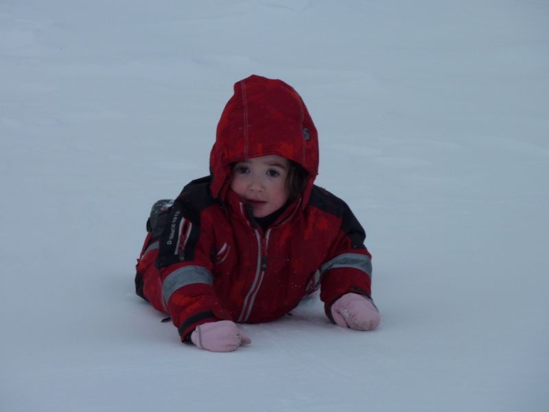 2011-02-25-1324_qupanuk_eugenius_labansen_2