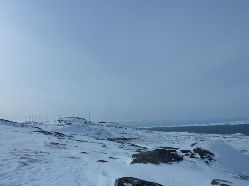 2011-03-11-1338_ravn