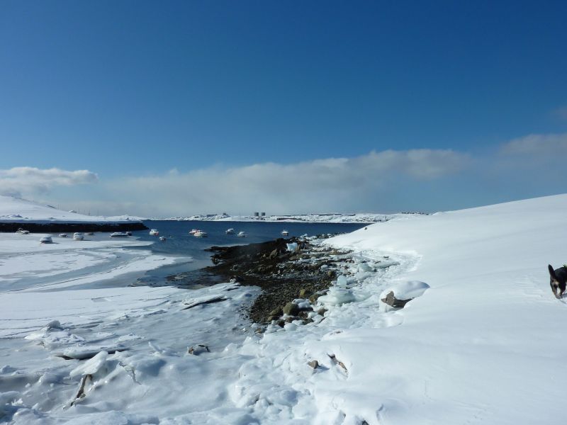 2011-03-22-1309_-_2