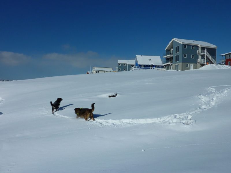 2011-03-22-1309_djanco_quna