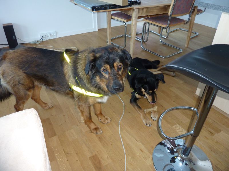 2011-03-23-0957_djanco_quna