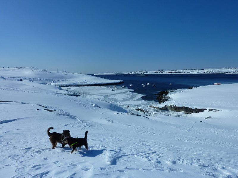 2011-03-23-1244_djanco_quna
