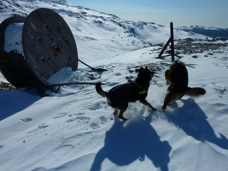 2011-03-23-1257_djanco_quna_3
