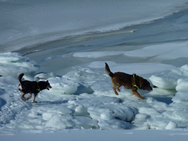 2011-03-23-1310_djanco_quna_4