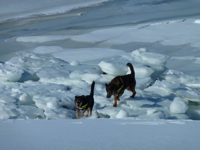 2011-03-23-1310_djanco_quna_5