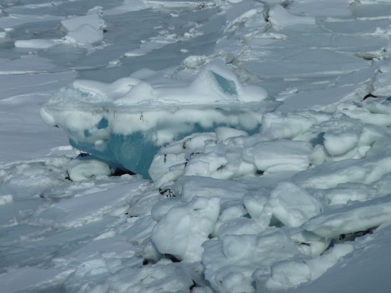2011-03-23-1310_isfod
