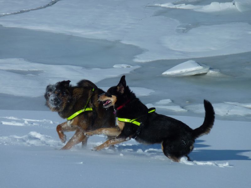 2011-03-23-1311_djanco_quna_5